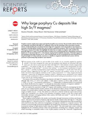 Why Large Porphyry Cu Deposits Like High Sr/Y Magmas?