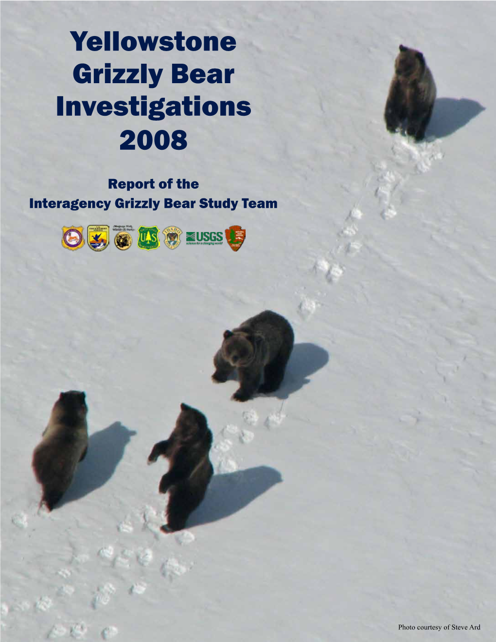 Yellowstone Grizzly Bear Investigations 2008