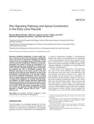 Rho Signaling Pathway and Apical Constriction in the Early Lens Placode