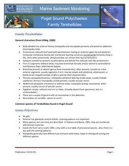 Puget Sound Polychaetes: Family Terebellidae Marine Sediment