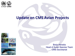 CMS Avian Projects