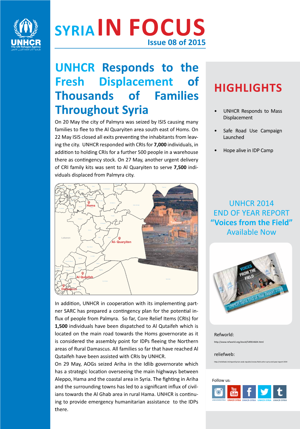 Syria in Focus, Issue 08