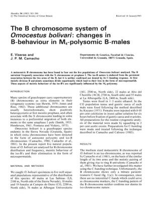The B Chromosome System of Omocestus Bolivari