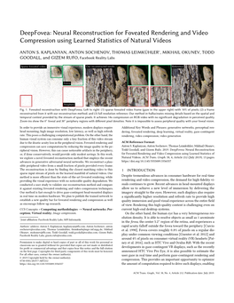 Foveated Rendering and Video Compression Using Learned Statistics of Natural Videos