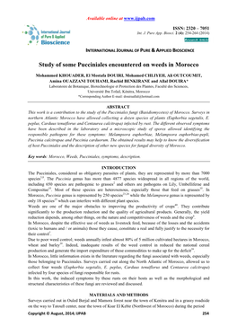 Study of Some Pucciniales Encountered on Weeds in Morocco