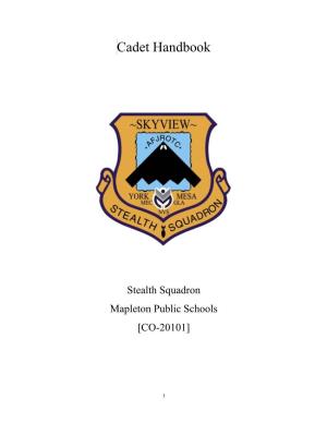 To Take a Look at the Air Force JROTC Cadet Handbook