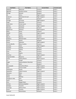 Cadet Ranks and Levels