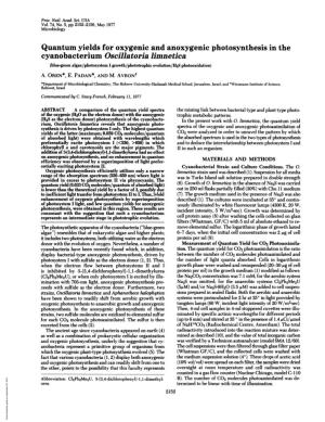 Quantum Yields for Oxygenic and Anoxygenic Photosynthesis in The
