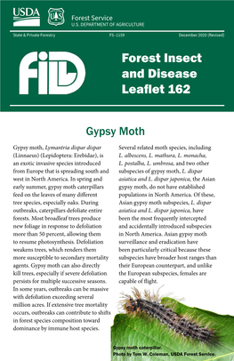 Gypsy Moth Forest Insect and Disease Leaflet