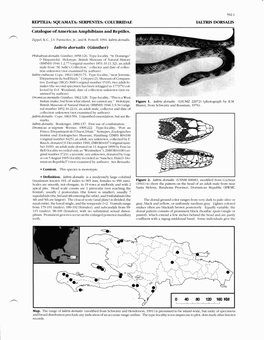 Catalogue of American Amphibians and Reptiles. Ialtris Dorsalis (Giinther)