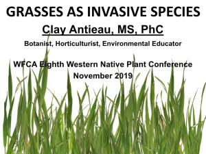GRASSES AS INVASIVE SPECIES Clay Antieau, MS, Phc Botanist, Horticulturist, Environmental Educator