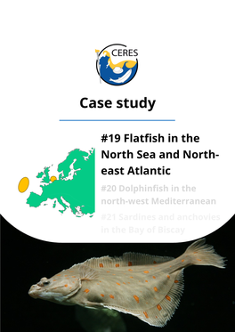19 Flatfish in the North Sea and North-East Atlantic