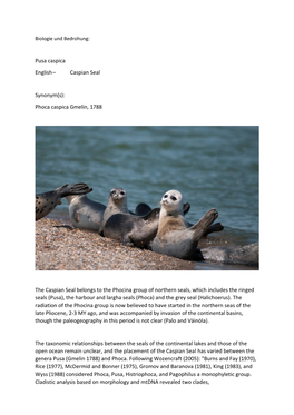 Pusa Caspica English – Caspian Seal Synonym(S): Phoca Caspica Gmelin