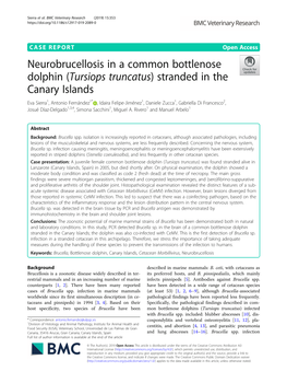 Neurobrucellosis in a Common Bottlenose Dolphin (Tursiops