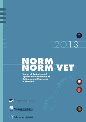Norm Norm-Vet 2013