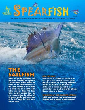 The Sailfish Why the Sail? Winter Is Quickly Approaching and When You Look at a Sailfish, It Is Obvious to See That Means One Thing for Anglers in How It Got Its Name