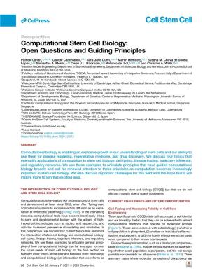 Computational Stem Cell Biology: Open Questions and Guiding Principles