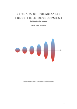20 Years of Polarizable Force Field Development