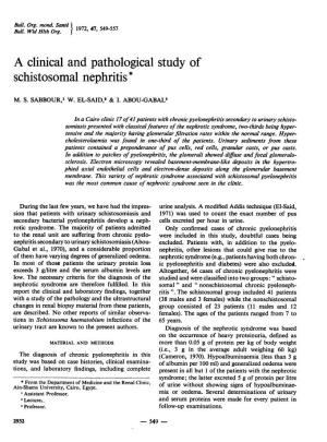 A Clinical and Pathological Study of Schistosomal Nephritis*