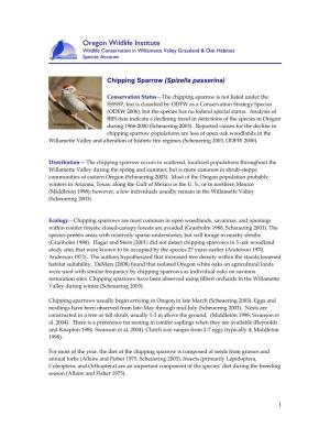 Chipping Sparrow (Spizella Passerina)