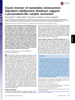 Dependent Iodothyronine Deiodinase Suggests a Peroxiredoxin-Like Catalytic Mechanism