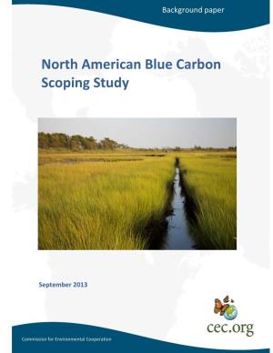 North American Blue Carbon Scoping Study