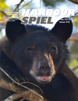 Download Harbour Spiel May 2019 Issue