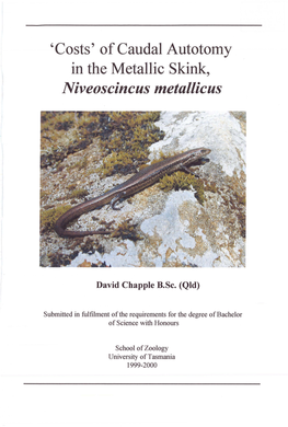 Of Caudal Autotomy in the Metallic Skink, Niveoscincus Metallicus