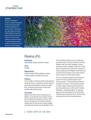 Filovirus (FV)