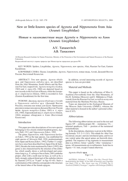 New Or Little-Known Species of Agyneta and Nippononeta from Asia (Aranei: Linyphiidae)