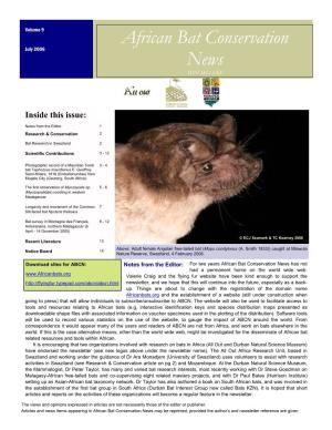 African Bat Conservation News Has Not Had a Permanent Home on the World Wide Web