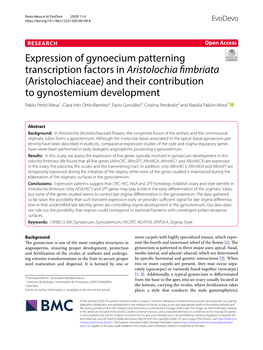 Expression of Gynoecium Patterning Transcription Factors in Aristolochia
