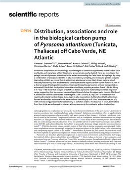 Distribution, Associations and Role in the Biological Carbon Pump of Pyrosoma Atlanticum (Tunicata, Thaliacea) of Cabo Verde, NE Atlantic Vanessa I