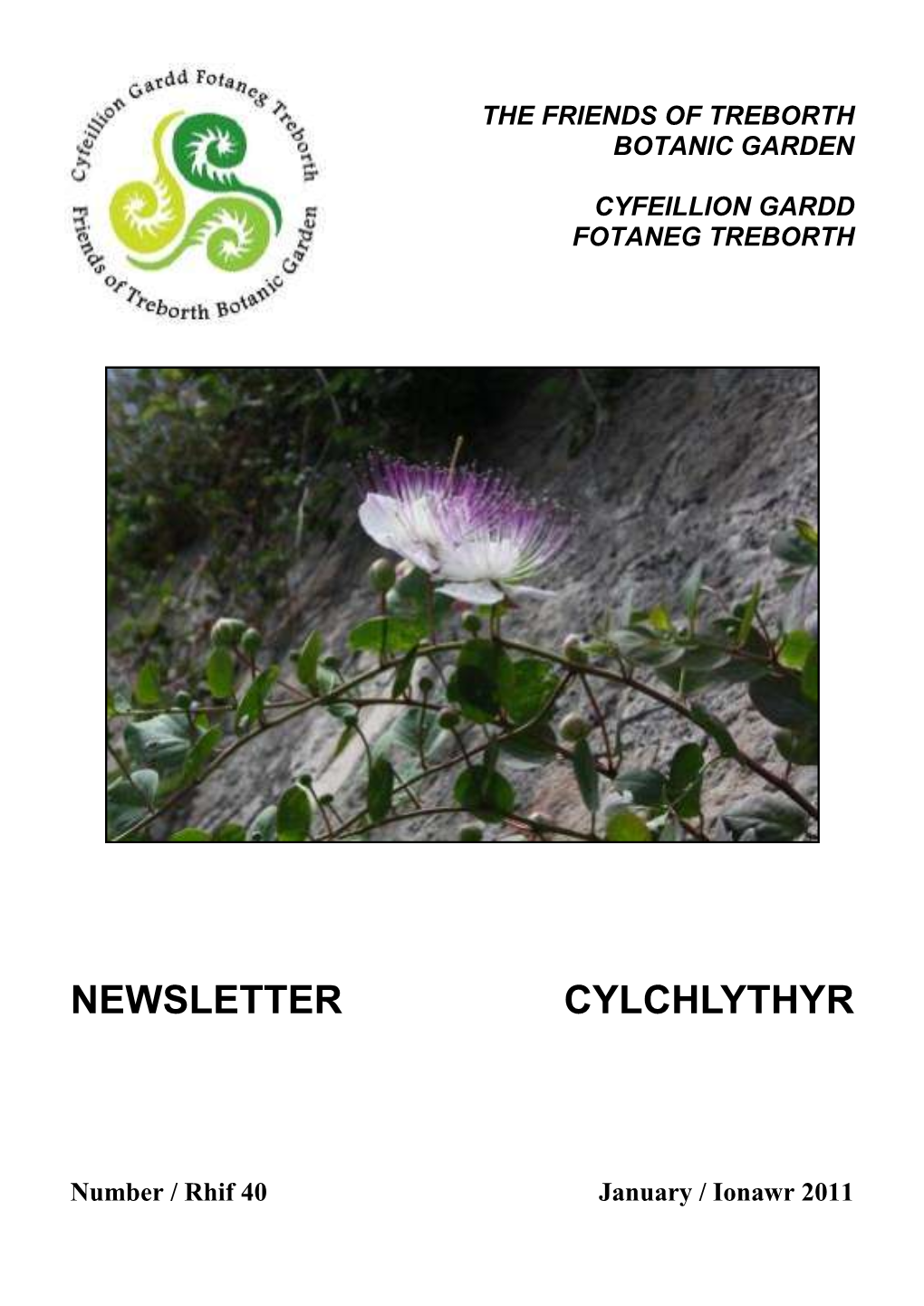 Newsletter Cylchlythyr