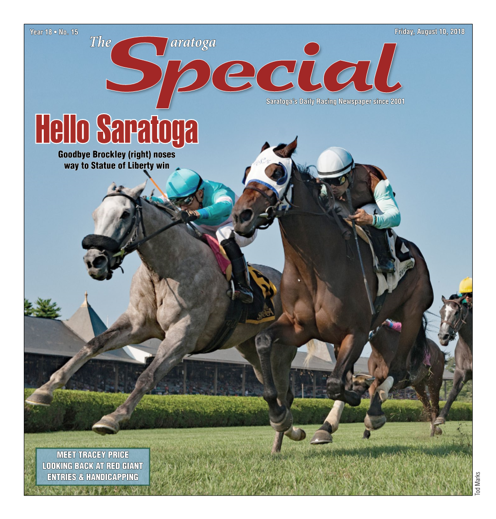 Hello Saratoga LOOKING BACKAT REDGIANT ENTRIES & HANDICAPPING MEET TRACEYPRICE Goodbye Brockley(Right)Noses Way Tostatueoflibertywin The