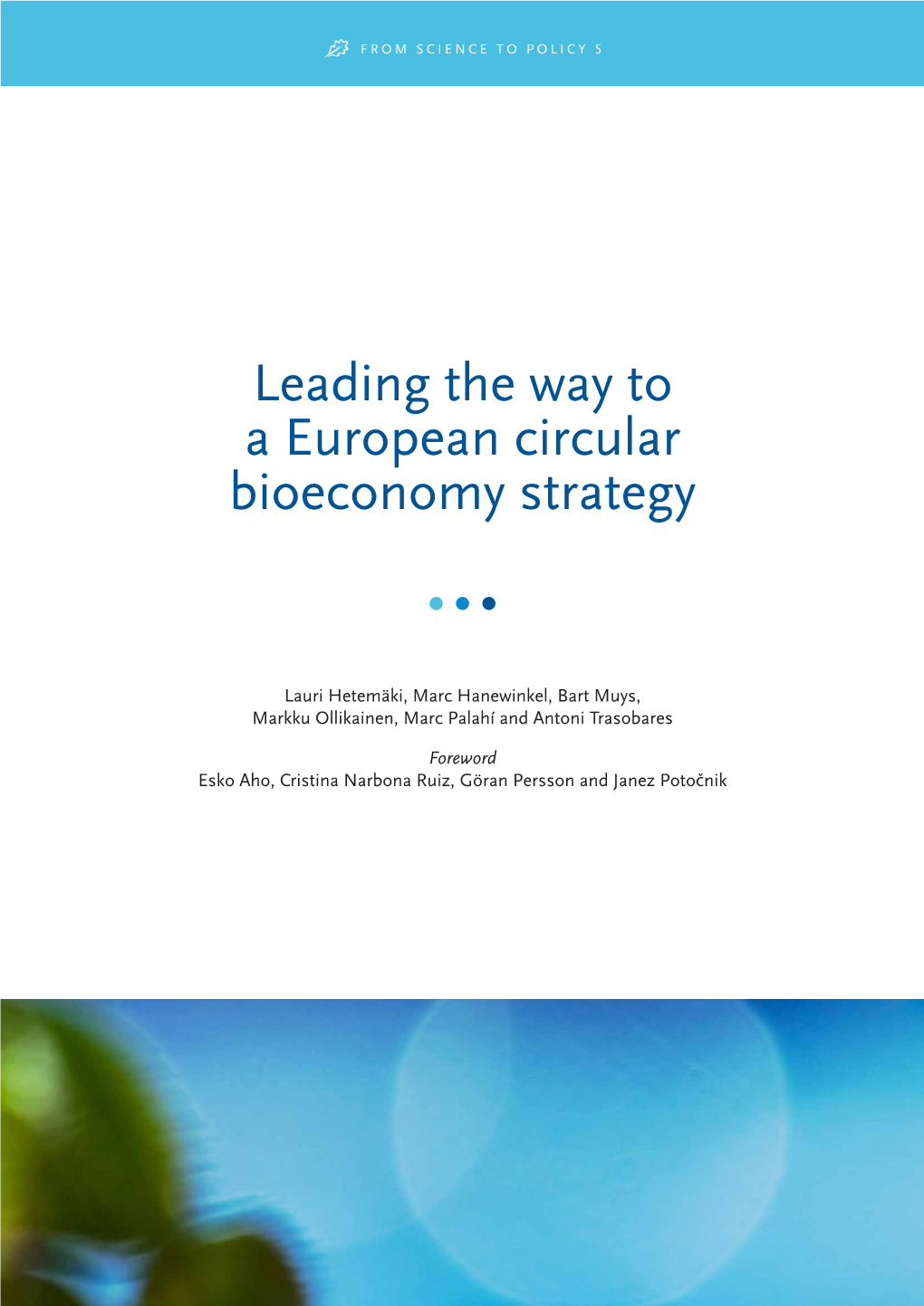 Leading the Way to a European Circular Bioeconomy Strategy