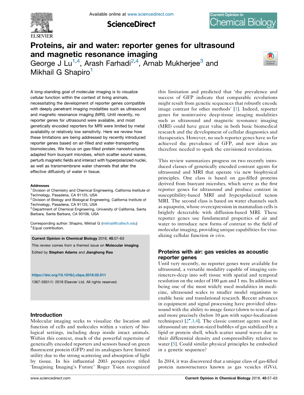 Reporter Genes for Ultrasound and Magnetic Resonance Imaging