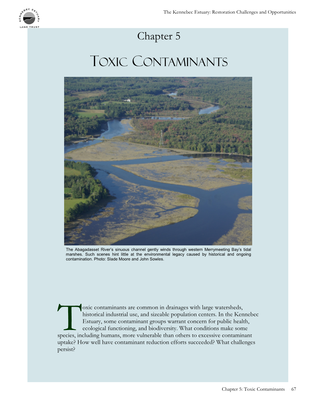 Toxic Contaminants