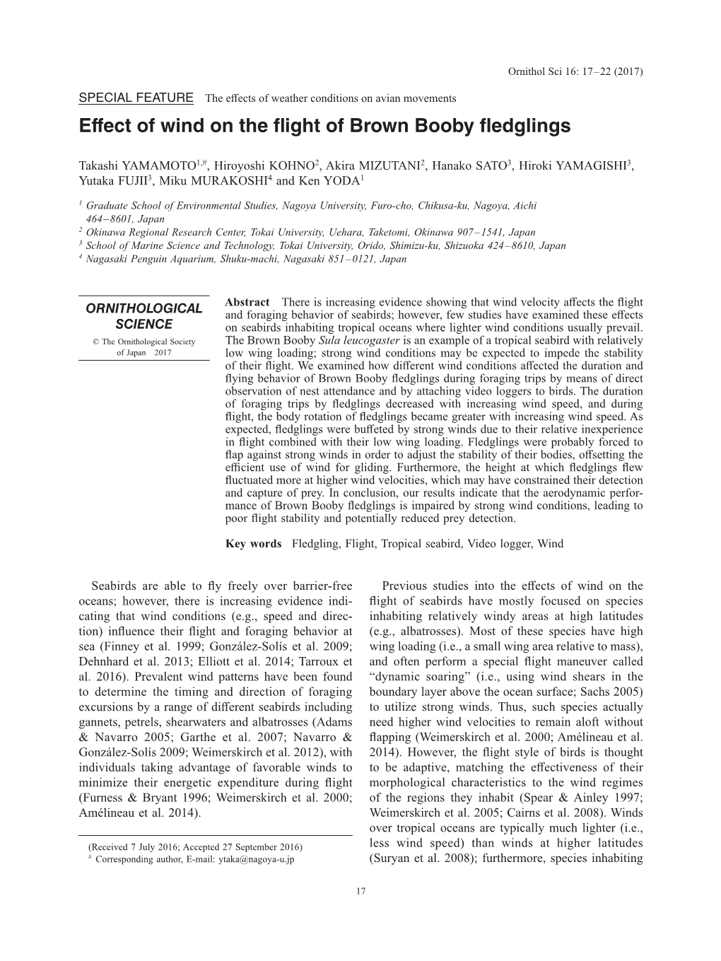 Effect of Wind on the Flight of Brown Booby Fledglings