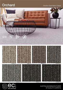 Orchard Solution Dyed Nylon Carpet