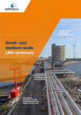 Small- and Medium-Scale LNG Terminals