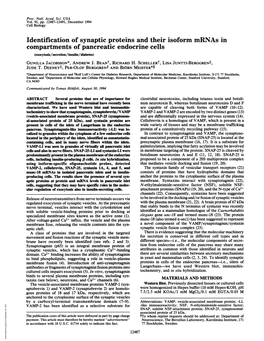 Identification of Synaptic Proteins and Their Isoform Mrnas In