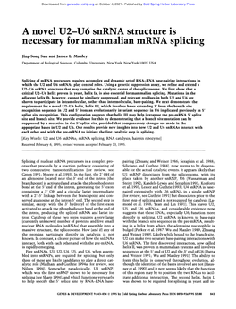 A Novel U2-U6 Snrna Structure Is Necessary for Mammalian Mrna Splicing