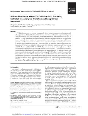 A Novel Function of YWHAZ/B-Catenin Axis in Promoting Epithelial–Mesenchymal Transition and Lung Cancer Metastasis
