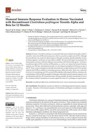 Humoral Immune Response Evaluation in Horses Vaccinated with Recombinant Clostridium Perfringens Toxoids Alpha and Beta for 12 Months