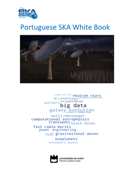 Portuguese SKA White Book