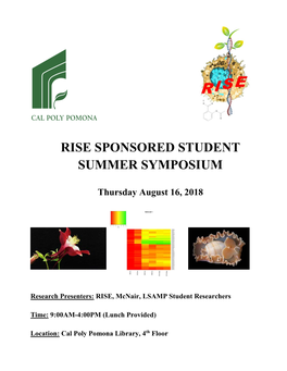 Rise Sponsored Student Summer Symposium
