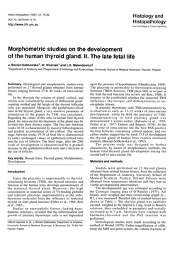 Morphometric Studies on the Development of the Human Thyroid Gland