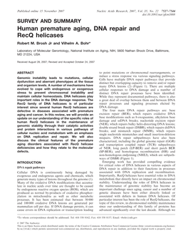 Human Premature Aging, DNA Repair and Recq Helicases Robert M