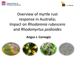 Overview of Myrtle Rust Response in Australia; Impact on Rhodamnia Rubescens and Rhodomyrtus Psidioides